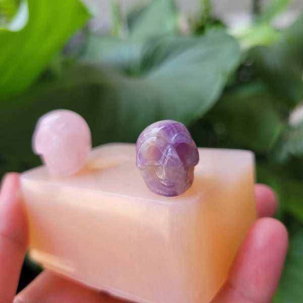 2 Size Mini Skull Mold *Made To Order*