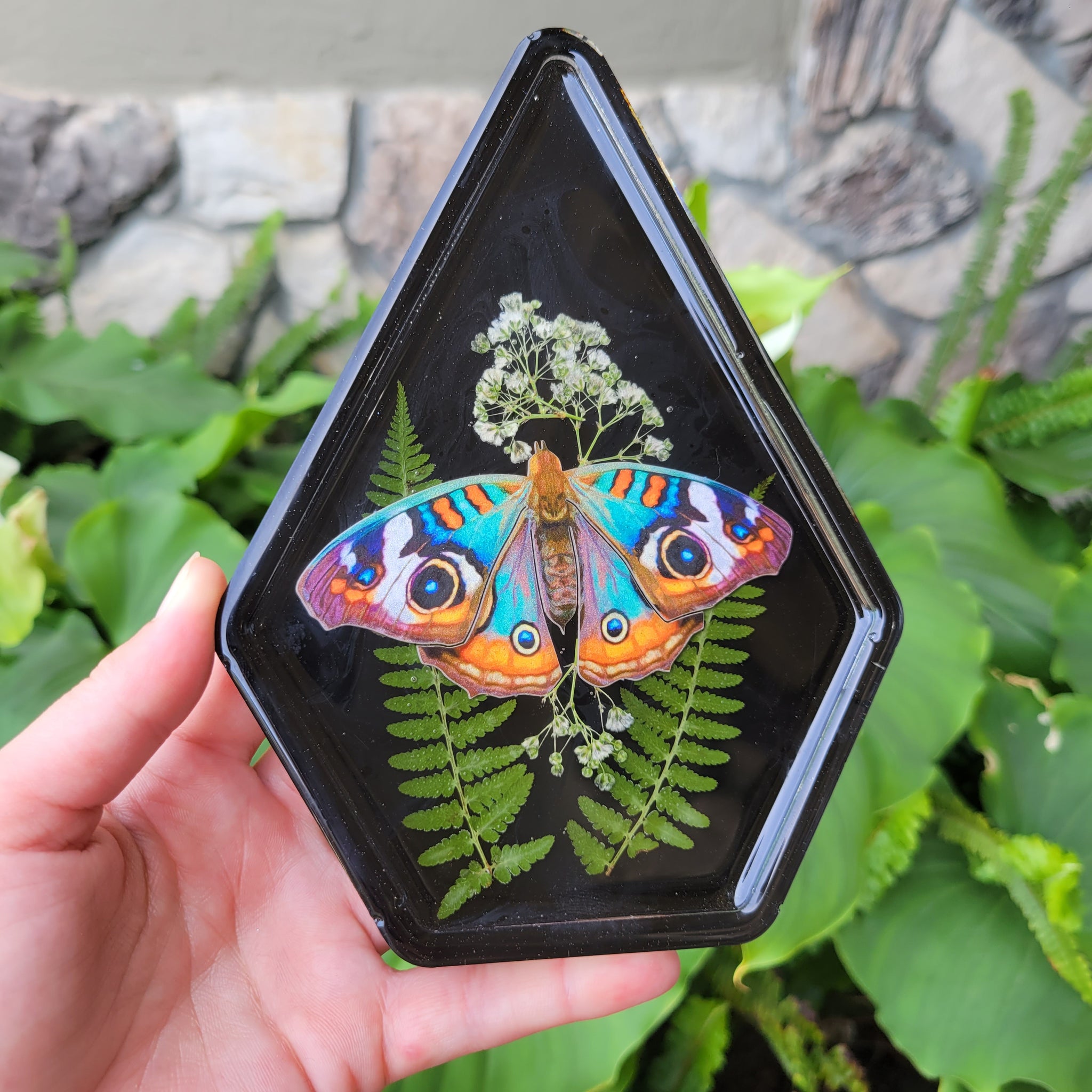 Vivid Moth Terrarium Tray