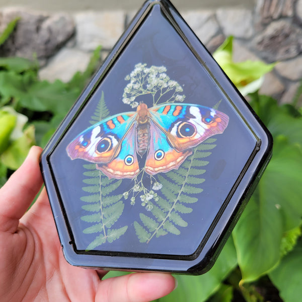 Vivid Moth Terrarium Tray