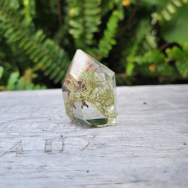 Mini Cicada Crystal Point